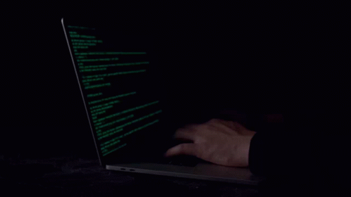 Computer Gif,Computerized System Gif,Expert Gif,Hacker Gif,Programming Gif,Talented Person Gif,Technology Gif