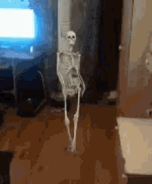 Skeleton Meme Gif