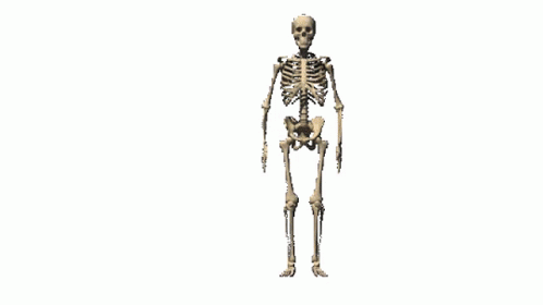 Skeleton Meme Gif