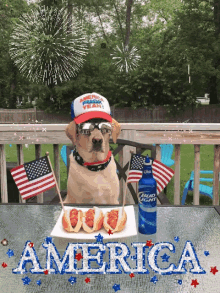 4th Of July Gif,America Gif,Approved In 1776 Gif,Federal Holiday Gif,Holiday Gif,Independence Day Gif,United States Gif