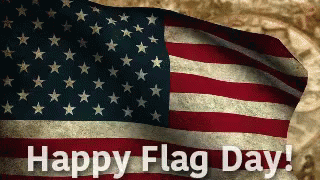 Celebrated Gif,Designated Gif,Flag Day Gif,Holiday Gif,Special Day Gif