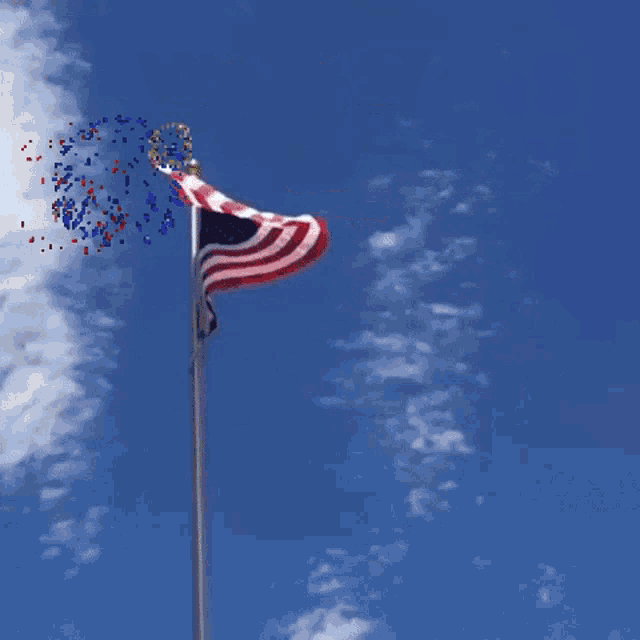 Celebrated Gif,Designated Gif,Flag Day Gif,Holiday Gif,Special Day Gif