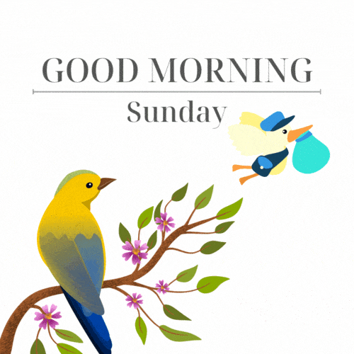 Happy Sunday Gif IceGif Happy Sunday Gif IceGif