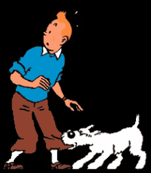 Tintin Gif