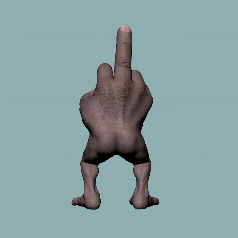 Middle Finger Gif
