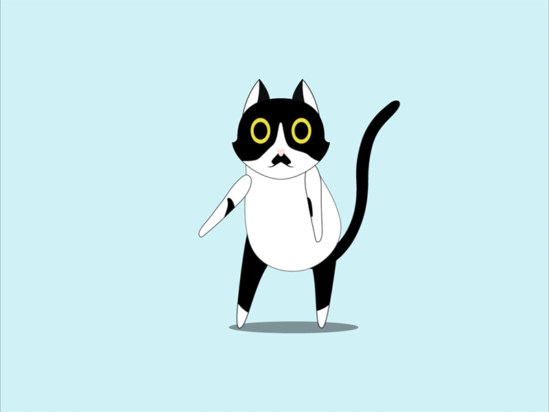 Dancing Cat Gif