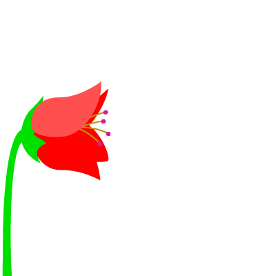 Flower Gif
