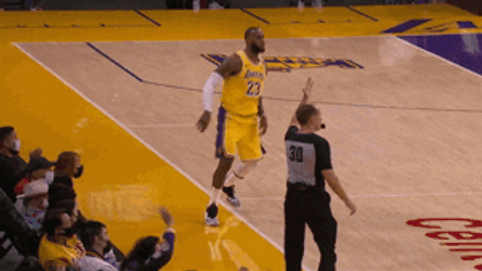 LeBron James Gif