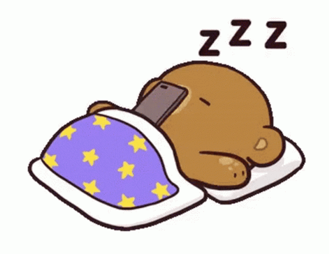Funny Gifs Sleeping Gif VSGIF