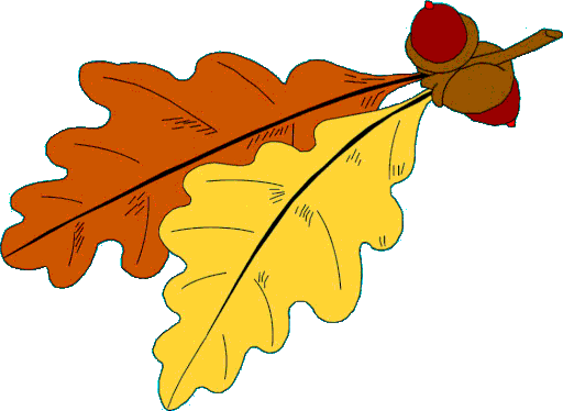 Autumn Gif,Brown Leaf Gif,Cold Gif,Deciduous Trees Gif,Leaf Gif,Orange Gif,View Gif,Yellow Gif