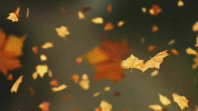 Autumn Leaf Gif