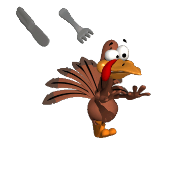 Turkey Bird Gif