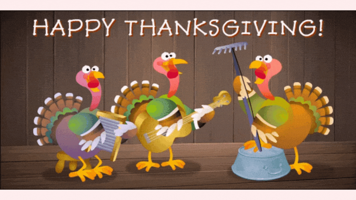 Turkey Bird Gif IceGif