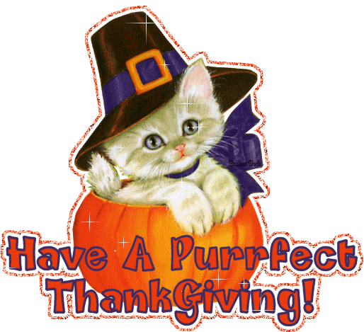 Happy Thanksgiving Cat Gif