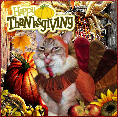 Happy Thanksgiving Cat Gif
