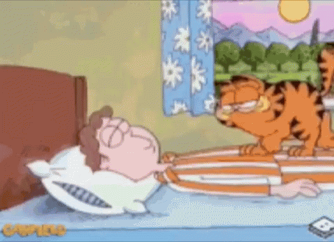 Wake Up Gif,Come To Life Gif,Getting Out Of Bed Gif,Open Your Eyes Gif,Sober Up Gif