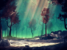 Clean Air Gif,Forest Gif,Land Gif,Nature Gif,Trees Gif