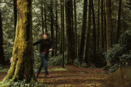 Forest Gif
