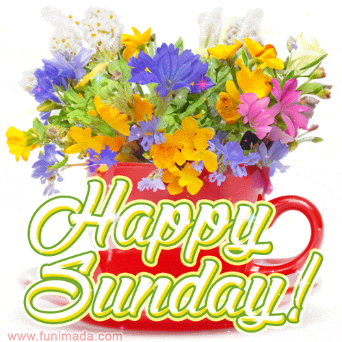 Sunday Gif IceGif Sunday Gif IceGif