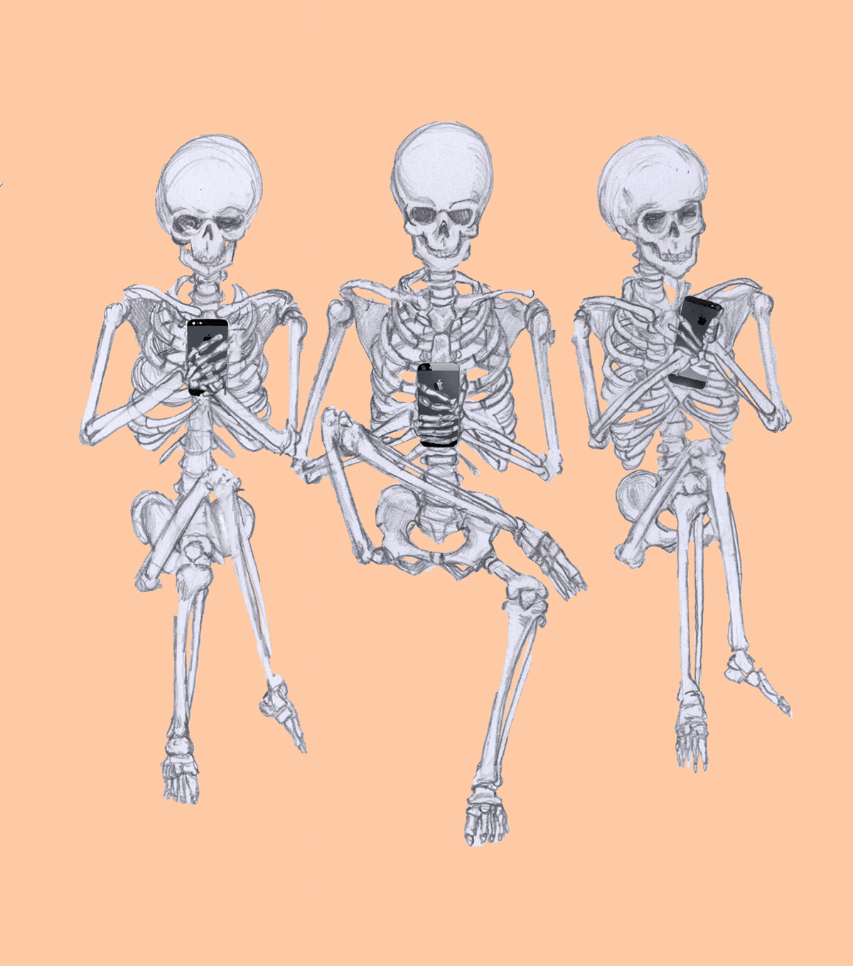 Supporting Gif,Body Gif,Bone Gif,Organism Gif,Skeleton Gif,Structural Gif