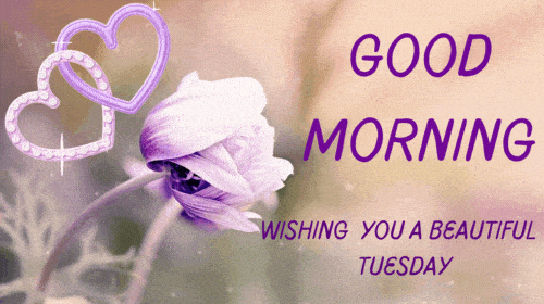 Good Morning Gif,Greeting Gif,Best Wishes Gif,Communication Gif,Morning Start Gif,Noon. Gif,Sunrise Gif