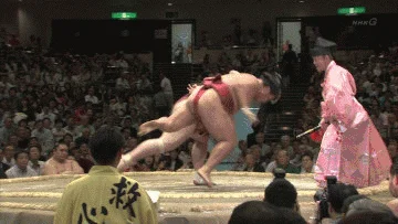 Sumo Wrestling Gif