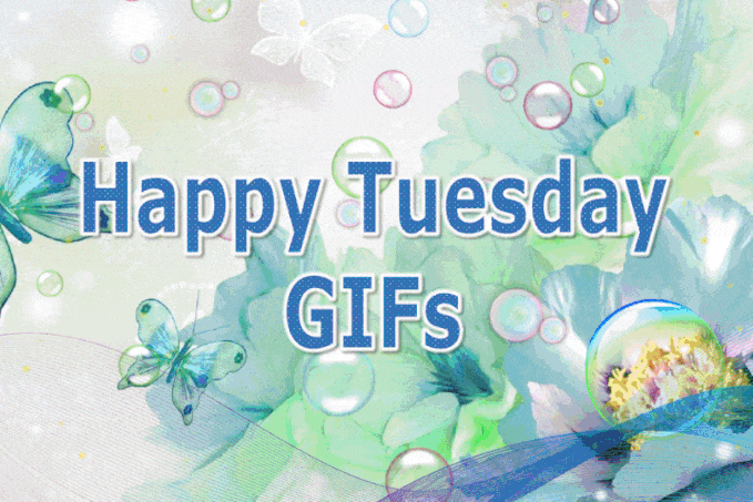 Tuesday Gif
