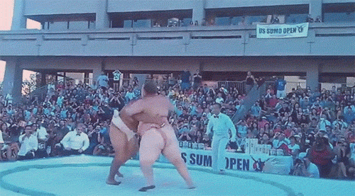 Sumo Wrestling Gif