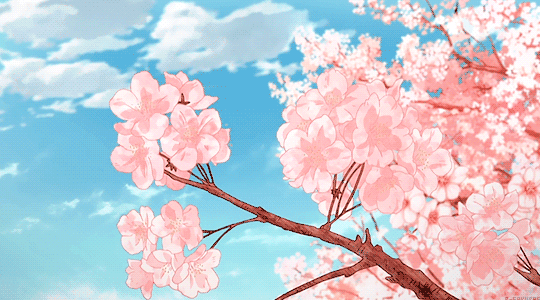 Cherry Blossom Gif