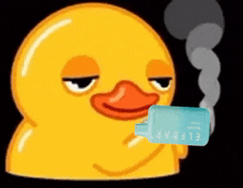 Duck Smoking Gif