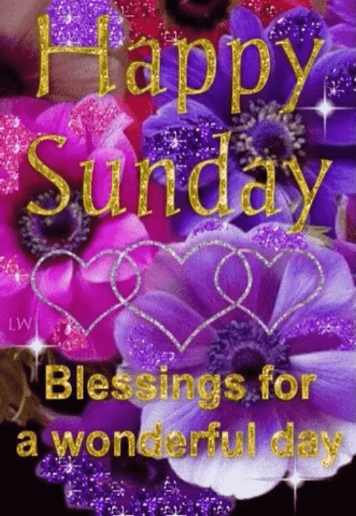 Happy Blessed Sunday Gif