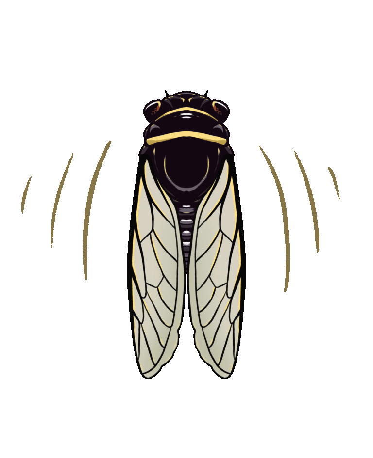 Cicadas Animated GIF