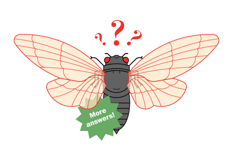 Cicadas Animated GIF