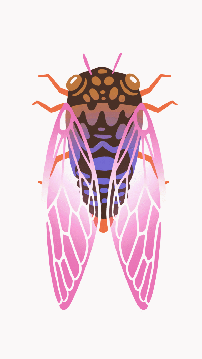Cicadas Animated GIF