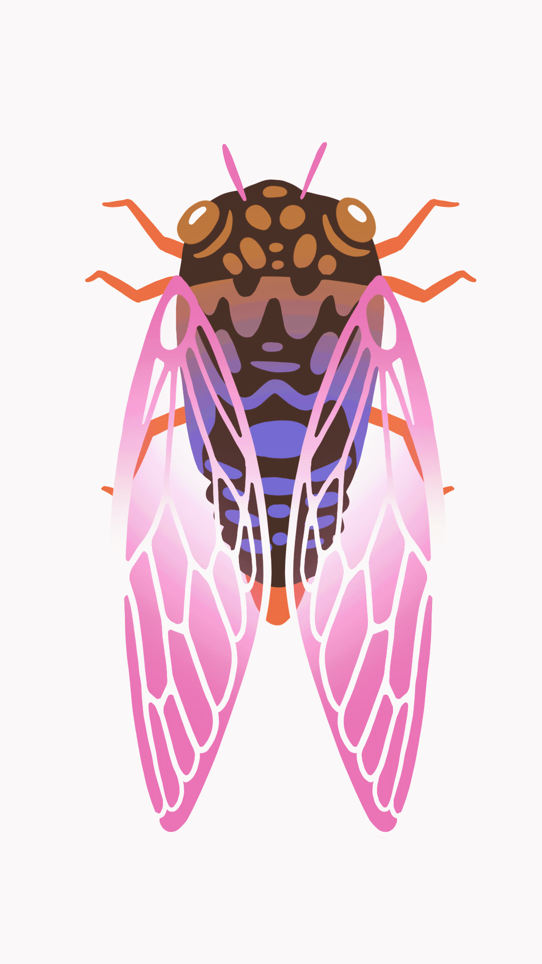 Cicadas Gif