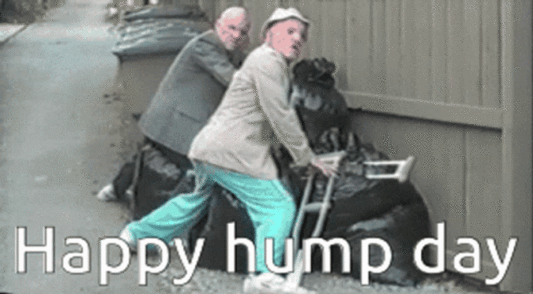 Hump Day Animated GIF
