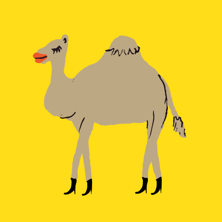 Hump Day Animated GIF