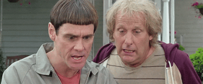Dumb And Dumber Animated GIF