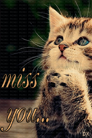 I miss you Gif