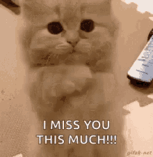I miss you Gif