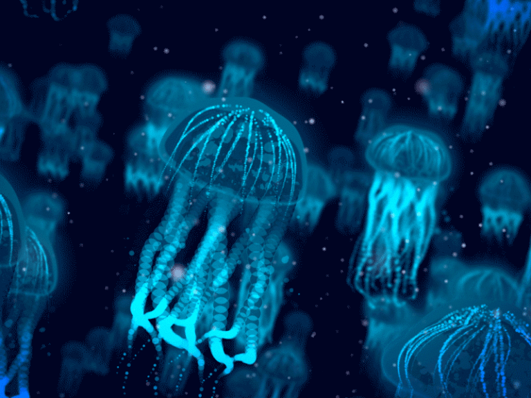 Jellyfish Animated GIF