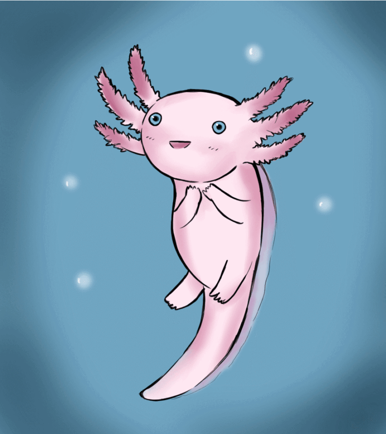 Axolotl Animated GIF