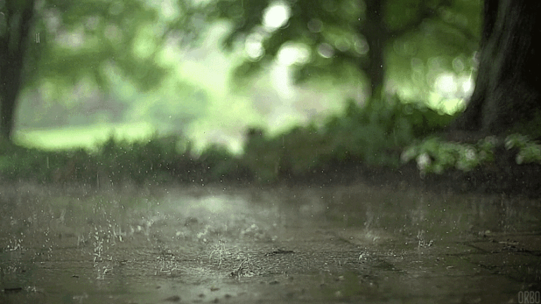 Rain Day Animated GIF