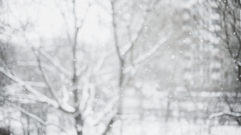 Snow Day Animated GIF