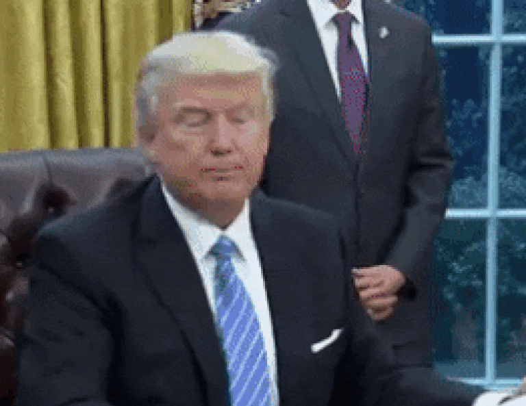 Donald Trump Animated GIF