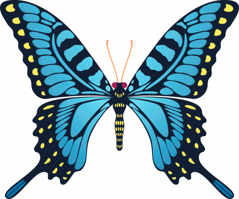 Butterfly Animated GIF