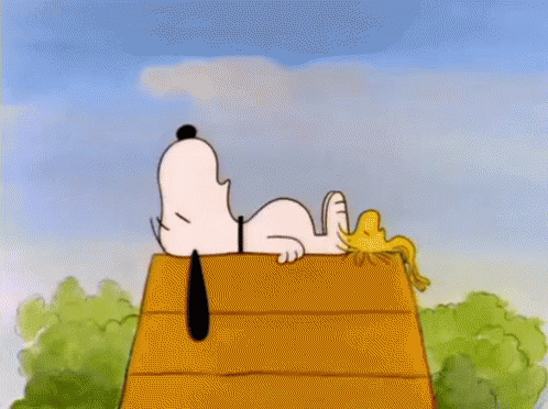 Snoopy Gif