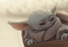 Baby Yoda Gif