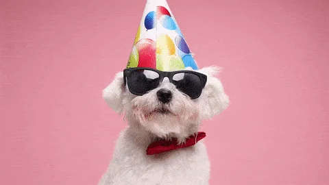 Birthday Gif