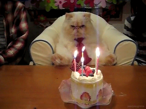 Birthday Gif